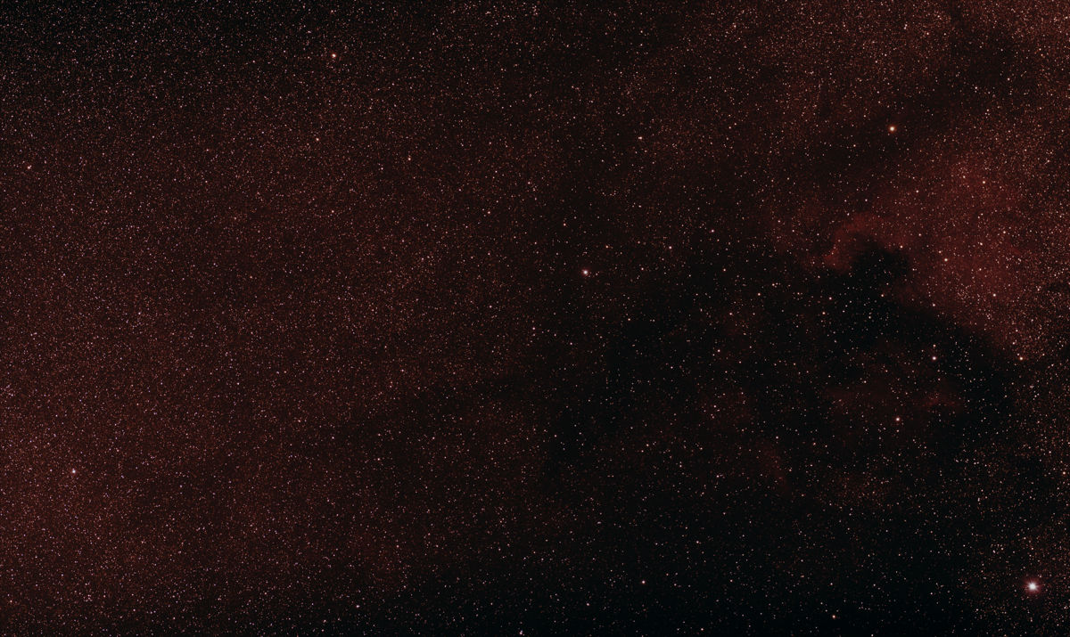 Submitted image