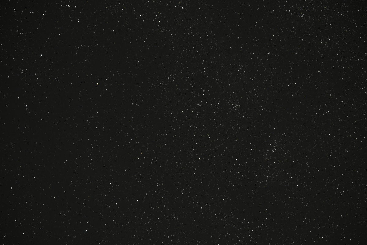 Submitted image