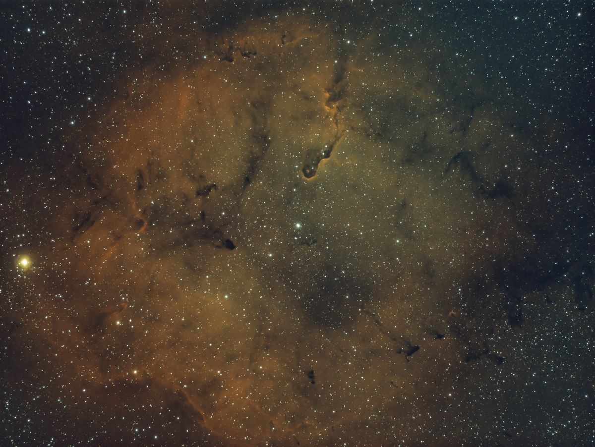 Submitted image
