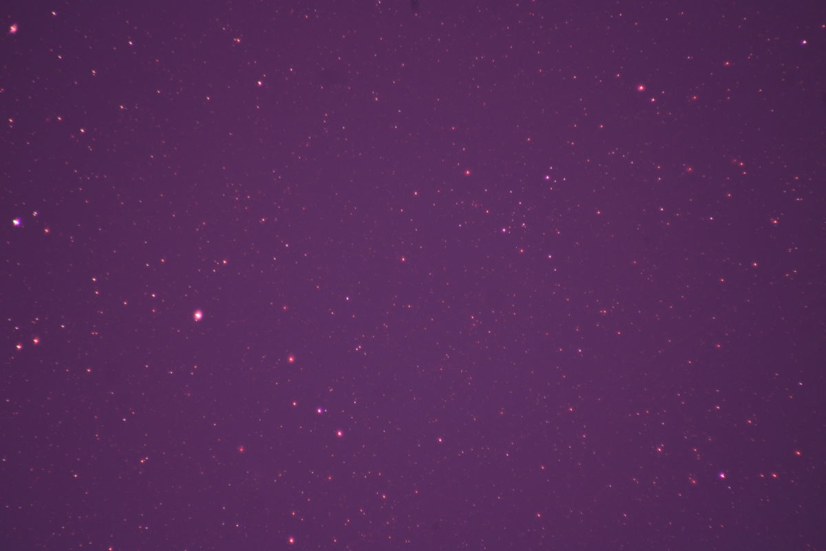 Submitted image